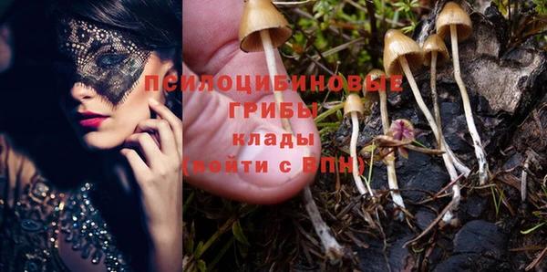кокаин премиум Вяземский